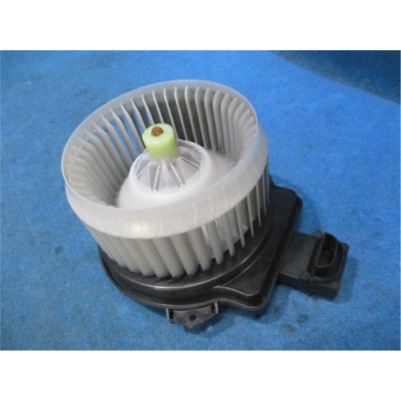 Blower Motor