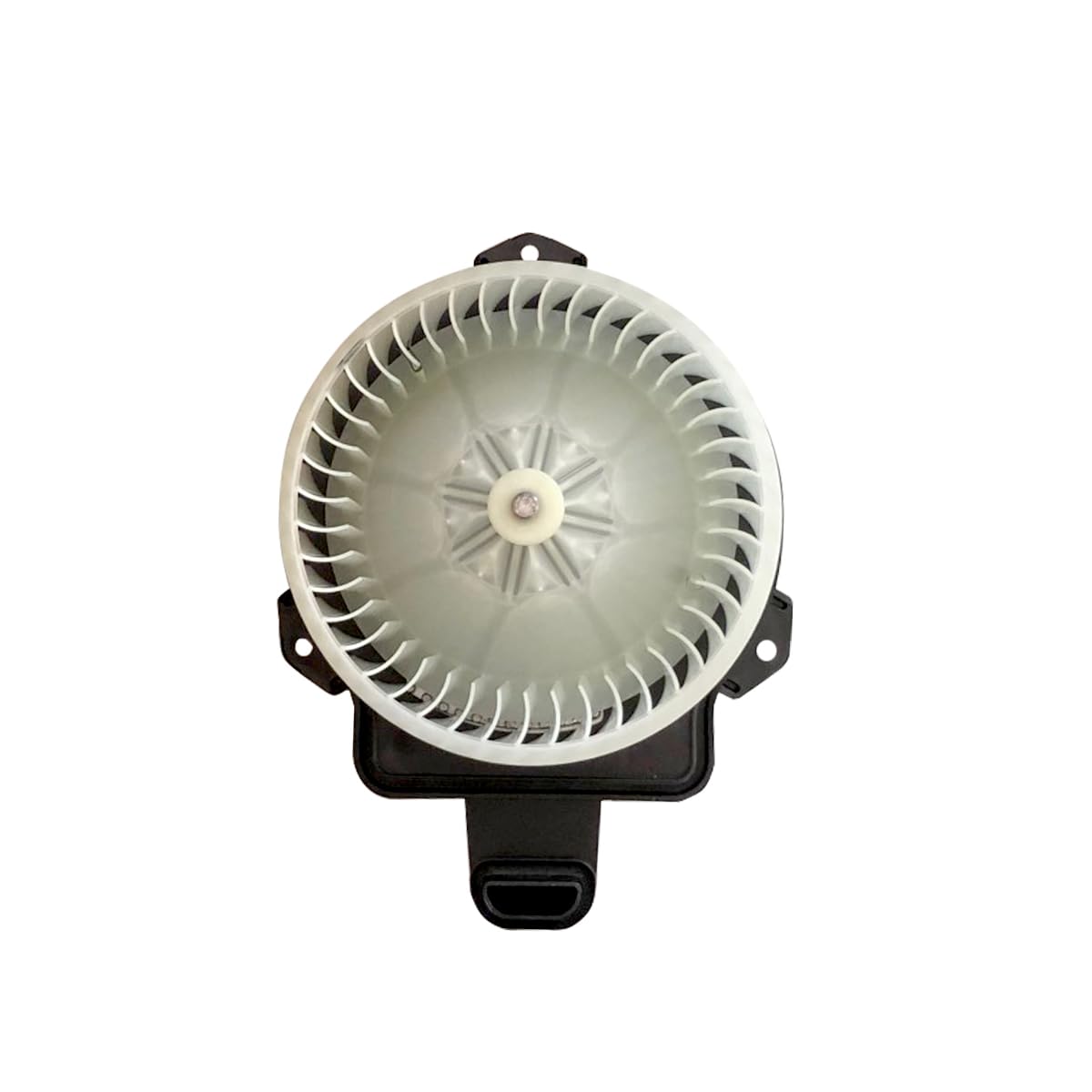 Blower Motor