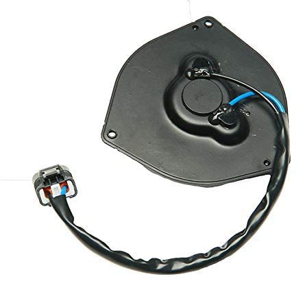 Fan Motor