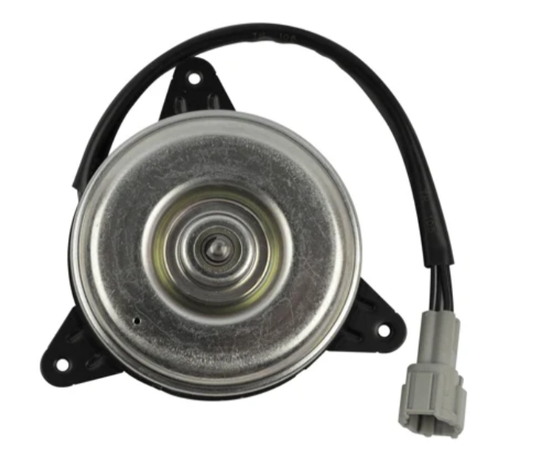 Fan Motor