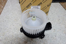 Blower Motor