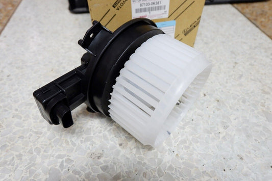 Blower Motor